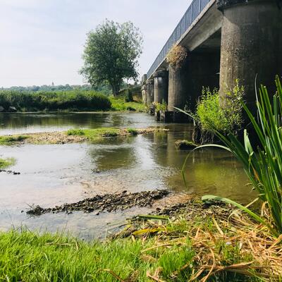 Sous le pont